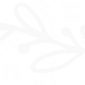 branch-white